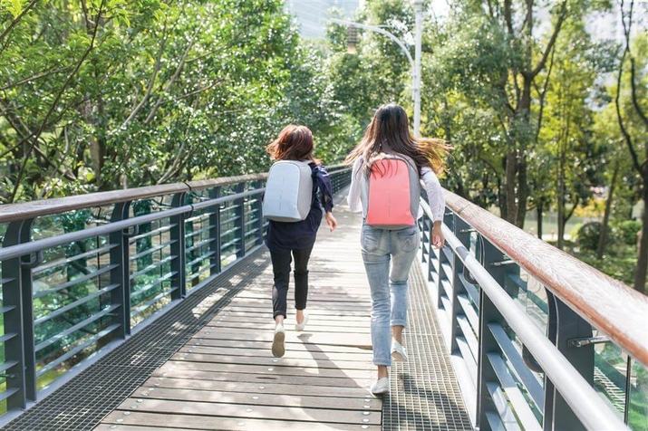 Rucsac anti-furt pentru laptop și tabletă Bobby Compact (gri-albastru)